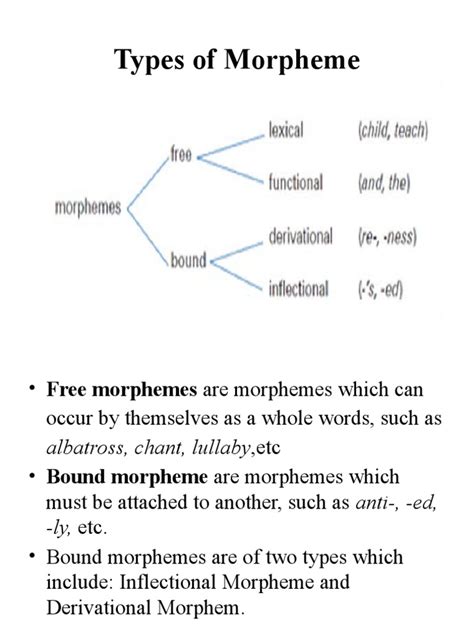 Morpheme witchcraft pdf